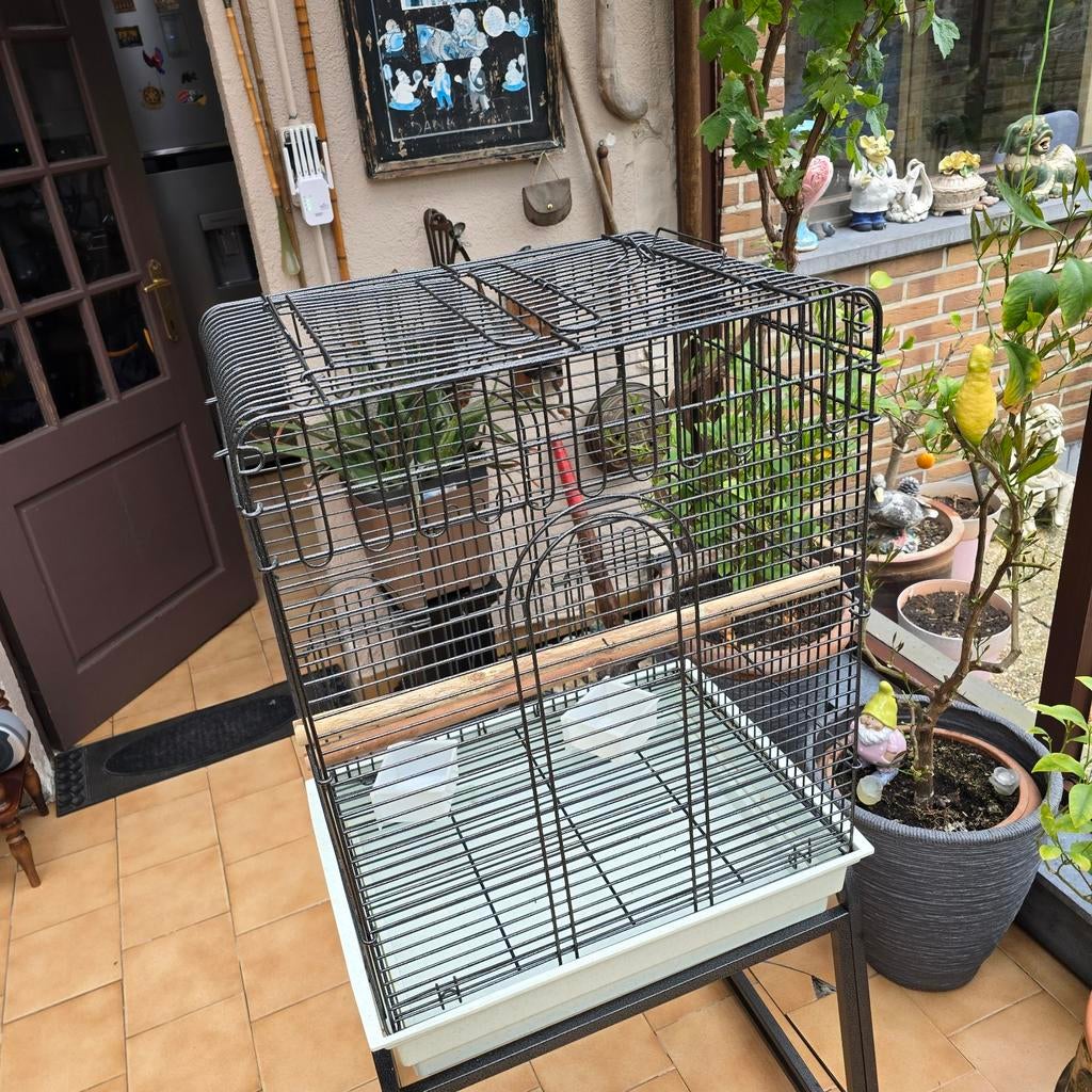 Te koop heel mooi vogel kooi is, Ophalen