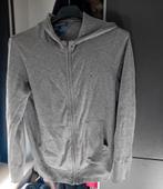 Pull Tommy gris foncé, Vêtements | Femmes, Vestes | Été, Enlèvement ou Envoi, Comme neuf