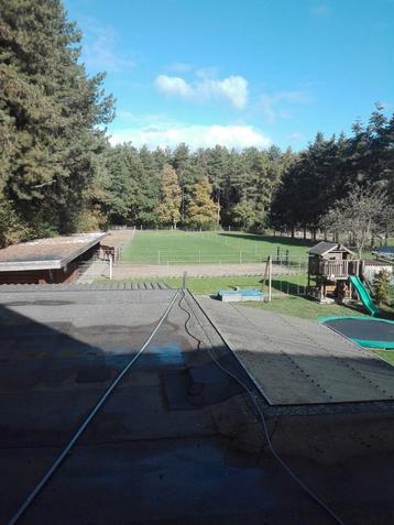 Stalling met vrije weidegang 24/7 en buitenpiste  beschikbaar voor biedingen