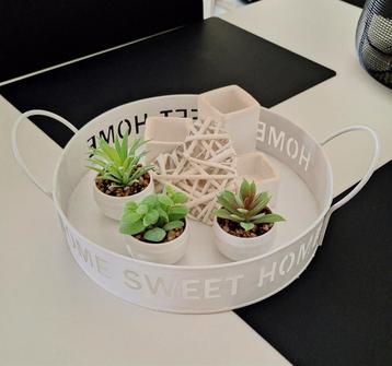 Dienblad met Decoratie
Nieuwe kunstplantjes
 beschikbaar voor biedingen