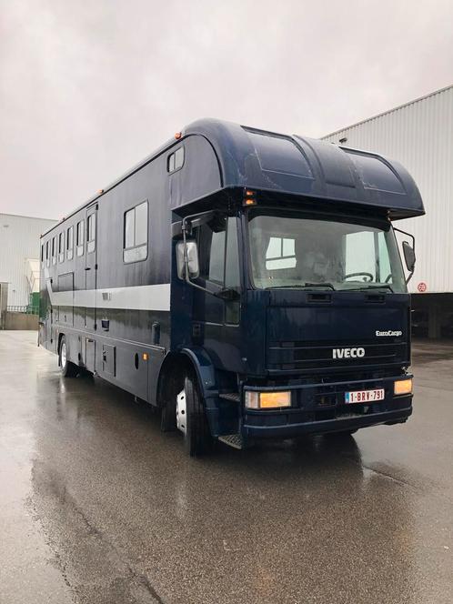 Paardenvrachtwagen Iveco 1995, Dieren en Toebehoren, Paarden en Pony's | Trailers en Aanhangwagens, Ophalen