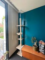 Grote krabpaal max 2.5 meter, Dieren en Toebehoren, Ophalen, Zo goed als nieuw, Krabpaal