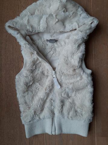 Bodywarmer  beschikbaar voor biedingen