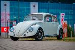 Volkswagen Kever 1966 "standaard", Autos, Oldtimers & Ancêtres, Achat, Volkswagen, Noir, Particulier