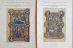 (MINIATUREN) Gothic manuscript illumination in the diocese o, Gelezen, Ophalen