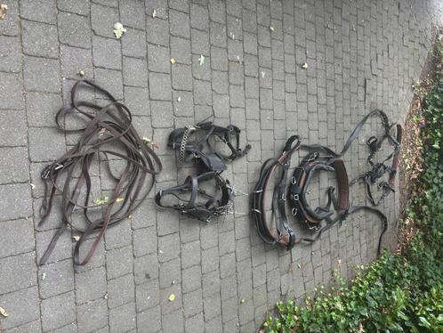 Mentuig Ideal Equistrian en divers toebehoren, Dieren en Toebehoren, Paarden en Pony's | Hoofdstellen en Tuigage, Nieuw, Overige soorten