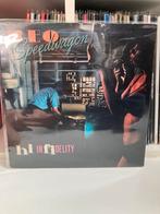 Reo speedwagon lp vinyl plaat, Cd's en Dvd's, Vinyl | Pop, Ophalen of Verzenden
