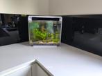 Superfish home 40, Dieren en Toebehoren, Ophalen, Gebruikt, Leeg aquarium