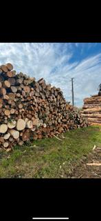 Bois de chauffage 2m-4m et grumes par camion complet, Ophalen, Berkenhout