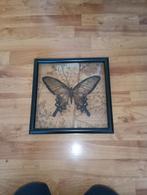 Zwarte Kader met zwarte vlinder, Huis en Inrichting, Ophalen of Verzenden