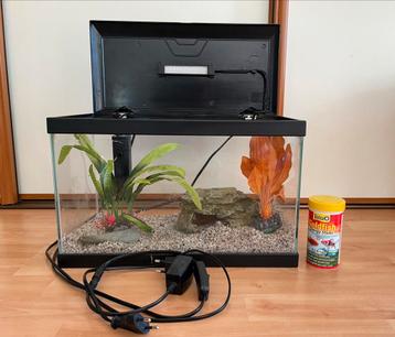 Aquarium van 17 liter + accessoires beschikbaar voor biedingen