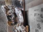 Rots voor schildpadden of andere reptielen, Ophalen, Zo goed als nieuw, Tak, Plant, Rots of Steen