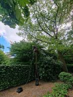 Boomsnoeien,  boomverzorger klimtechniek, Tuin en Terras, Ophalen