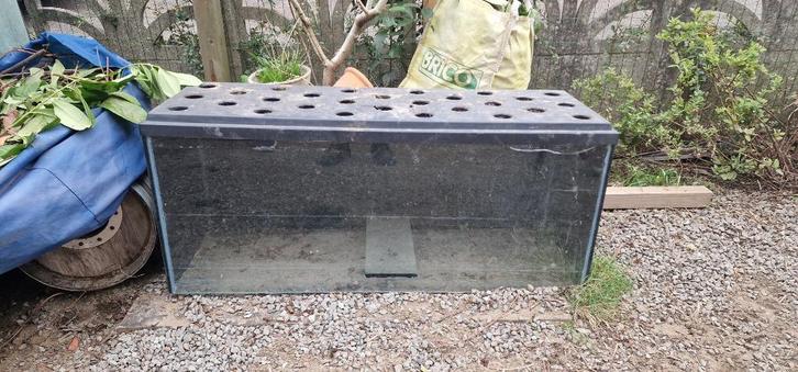 Gratis groot aquarium met barst, Dieren en Toebehoren, Reptielen en Amfibieën | Toebehoren, Gebruikt, Terrarium of Paludarium