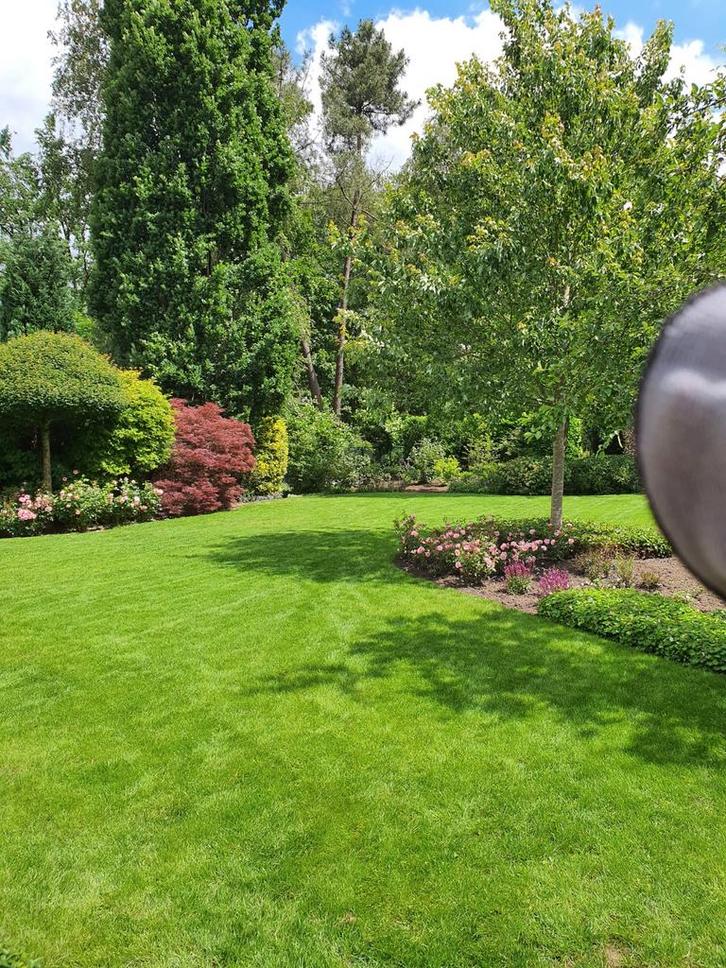 Tuinonderhoud, tuinaanleg, snoeien ,grasmatten, verticuteren, Diensten en Vakmensen, Tuinmannen en Stratenmakers