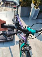 Vélo pour homme en bon état, Fietsen en Brommers, Fietsen | Ligfietsen, Ophalen, Zo goed als nieuw