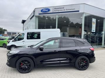 Ford Kuga ST-Line X PHEV AUT (bj 2023, automaat) beschikbaar voor biedingen