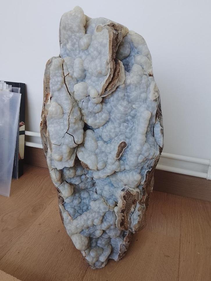 Versteende boom met kristalgroei, Verzamelen, Mineralen en Fossielen, Ophalen