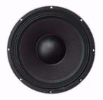 25 Cm Bass Speaker 300 Watt 8 Ohm [L041B-ELL], Audio, Tv en Foto, Luidsprekerboxen, Ophalen of Verzenden, Nieuw, Overige typen