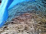 Gratis los stro, Dieren en Toebehoren, Ophalen of Verzenden
