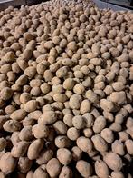15 ton plants fontane 35/50 klasse A, Zakelijke goederen, Landbouw | Aardappelen, Groenten, Fruit en Vlees, Ophalen of Verzenden