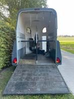 Trailer voor 2 paarden, Ophalen, Gebruikt, Polyester, 2-paards trailer