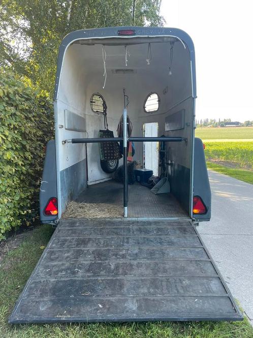 Trailer voor 2 paarden, Dieren en Toebehoren, Paarden en Pony's | Trailers en Aanhangwagens, Gebruikt, 2-paards trailer, Polyester