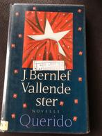 J. Bernlef – vallende ster – novelle Querido, Livres, Romans, Enlèvement ou Envoi
