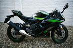Kawasaki Ninja 125cc (2024), Motoren, Motoren | Kawasaki, 125 cc, 11 kW of minder, 1 cilinder, Minimaal motorrijbewijs A1