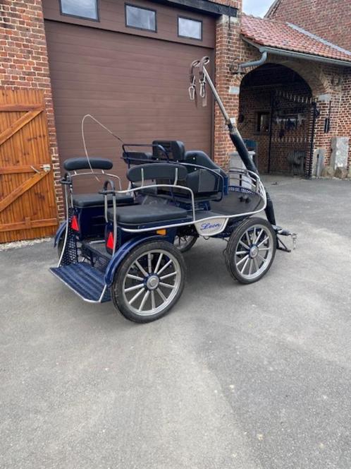 Leon koets in perfecte staat, Dieren en Toebehoren, Rijtuigen en Koetsen, Zo goed als nieuw, Marathonwagen, Paard of Pony