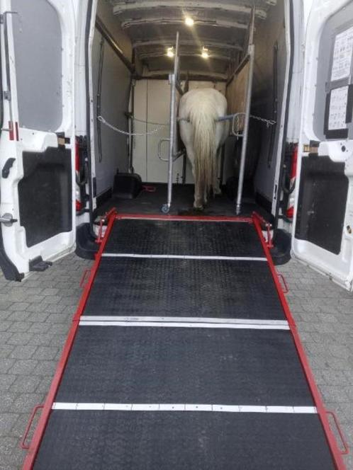 Paardencamionette Ford Transit H3L4, Auto's, Ford, Particulier, Transit, ABS, Airbags, Airconditioning, Centrale vergrendeling