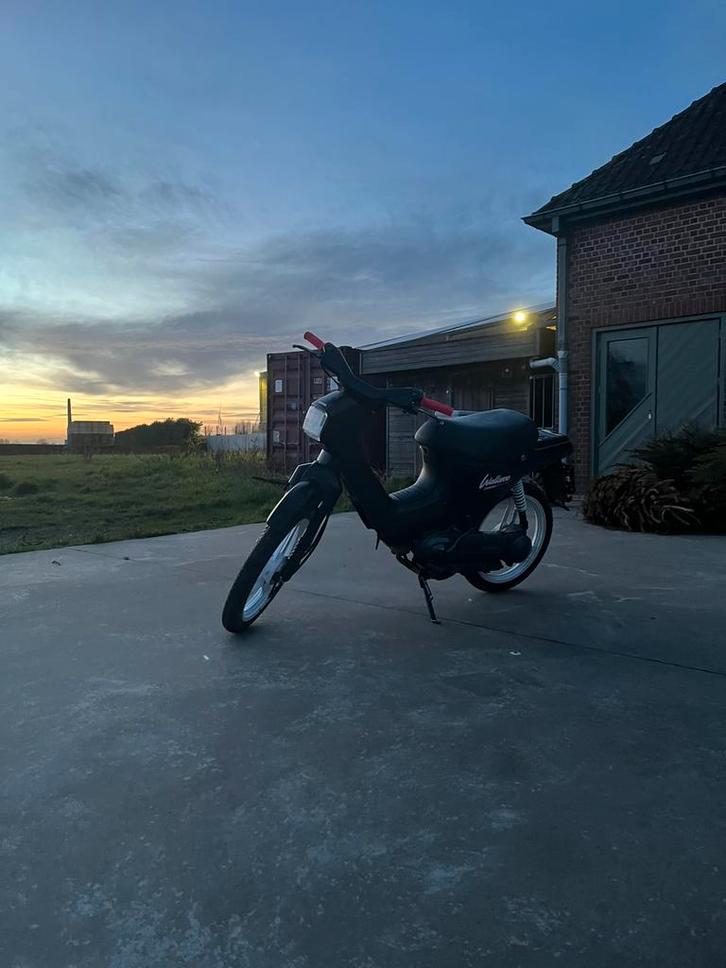 Honda wallroo 50cc 1989, Fietsen en Brommers, Brommers | Honda, Zo goed als nieuw, Overige modellen, Klasse B (45 km/u), Ophalen