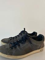 Chaussures Bjorn Borg Blue 43, Vêtements | Hommes, Chaussures, Enlèvement ou Envoi, Chaussures à lacets, Porté, Bleu