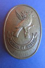 Borsthanger voor lichte luchtmacht, Verzamelen, Militaria | Algemeen, Ophalen of Verzenden, Luchtmacht, Embleem of Badge