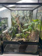 Exo terra 45x45x60cm volledig ingericht, Ophalen, Gebruikt