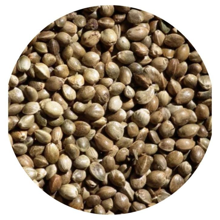 Kempzaad 1kg, Dieren en Toebehoren, Vogels | Toebehoren, Nieuw, Eten en Drinken, Ophalen