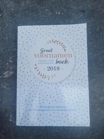 Femke van Werkhoven - Groot voornamenboek 2018 beschikbaar voor biedingen