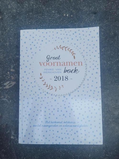 Femke van Werkhoven - Groot voornamenboek 2018, Boeken, Kinderboeken | Baby's en Peuters, Zo goed als nieuw, Ophalen of Verzenden