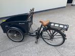 Electrische bakfiets, Fietsen en Brommers, Fietsen | Bakfietsen, Ophalen, Gebruikt, 3 kinderen, Elektrisch