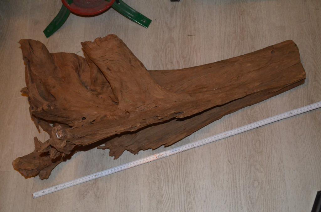 Terrarium accessoires, Animaux & Accessoires, Reptiles & Amphibiens | Accessoires, Utilisé, Branche, Plante, Roche ou Pierre, Enlèvement