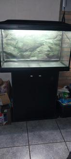 Propere Cayman 80 aquarium met onderkast Ferplast, Dieren en Toebehoren, Ophalen