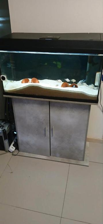 Aquarium onderkast voor 80cm beschikbaar voor biedingen