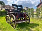 Koets, Dieren en Toebehoren, Paarden