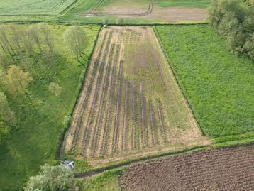 Weidegrond in Ghoy beschikbaar voor biedingen