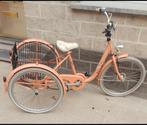 Tri-Bike, Fietsen en Brommers, Ophalen, Zo goed als nieuw, Tri-bike