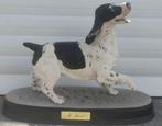 chien beswick england, Enlèvement ou Envoi