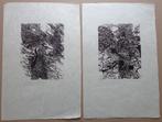 MARTIN BAEYENS / LOT VAN 2 STUKS / ZW-W LITHO / 51x34cm SIG, Ophalen of Verzenden