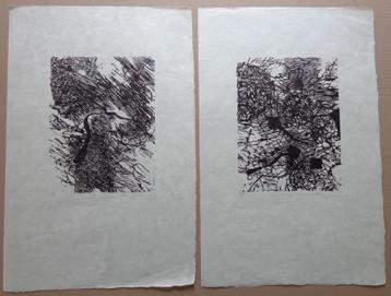 MARTIN BAEYENS / LOT VAN 2 STUKS / ZW-W LITHO / 51x34cm SIG, Enlèvement ou Envoi