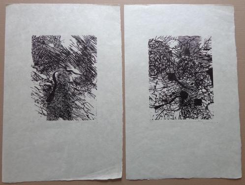 MARTIN BAEYENS / LOT VAN 2 STUKS / ZW-W LITHO / 51x34cm SIG, Antiek en Kunst, Kunst | Litho's en Zeefdrukken, Ophalen of Verzenden