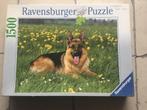 Puzzel Ravensburger 1500 stukjes Duitse herdershond, Gebruikt, Ophalen of Verzenden, 500 t/m 1500 stukjes, Legpuzzel